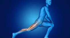 Man performing a stretching exercise for leg pain relief.